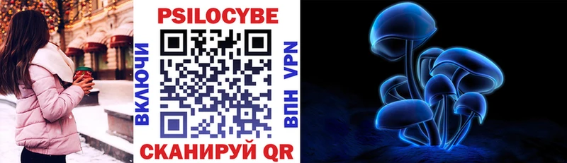 Купить закладки  Химки  Галлюциногенные грибы прущие грибы 